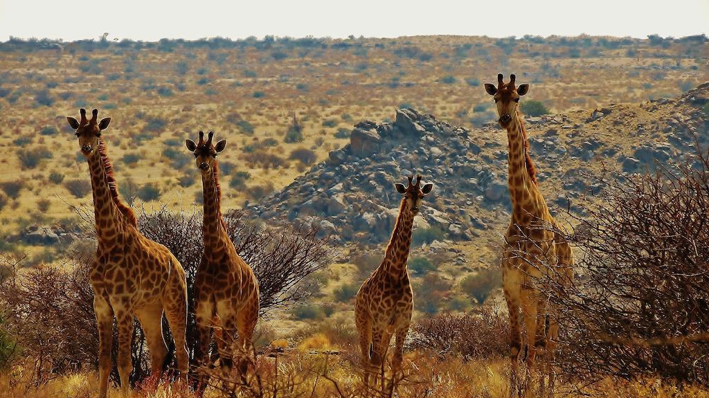 Tutwa Desert Lodge Augrabies Eksteriør bilde