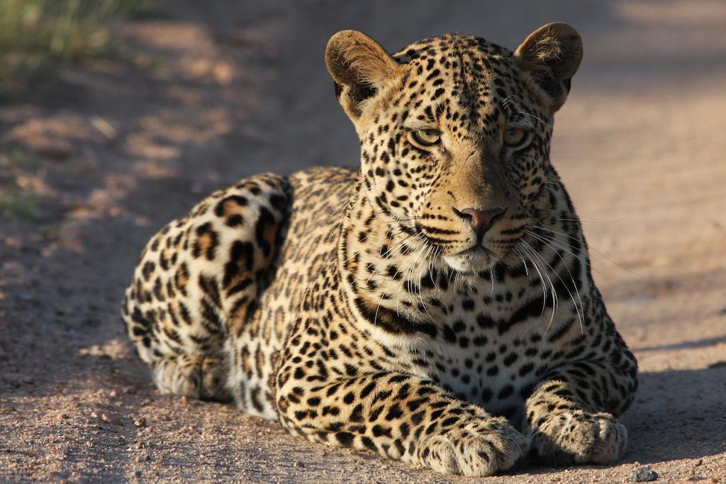 Tutwa Desert Lodge Augrabies Eksteriør bilde