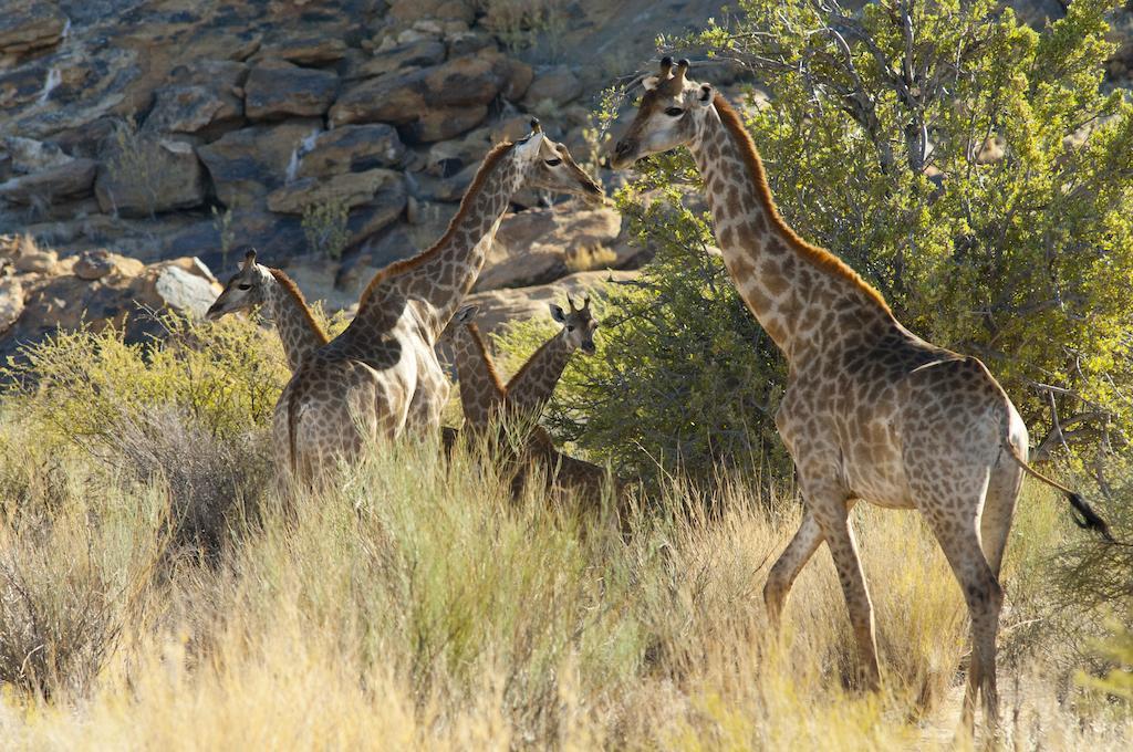 Tutwa Desert Lodge Augrabies Eksteriør bilde