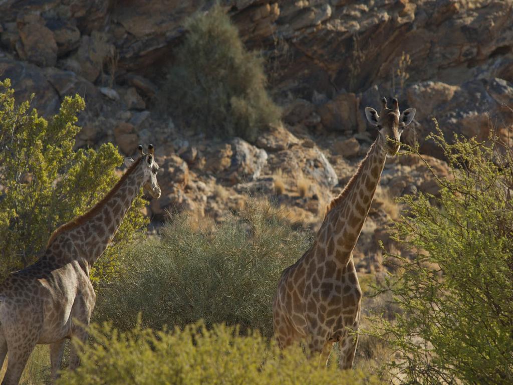 Tutwa Desert Lodge Augrabies Eksteriør bilde